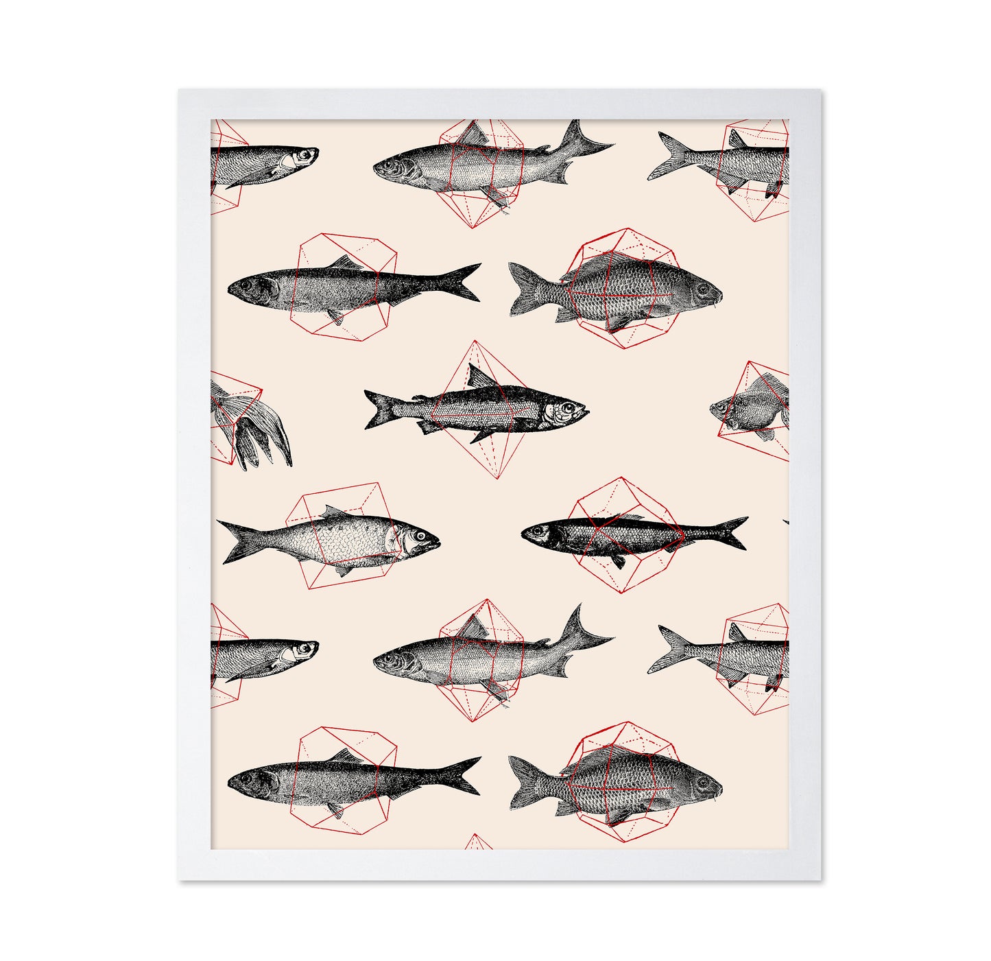 Fishes in Geometrics