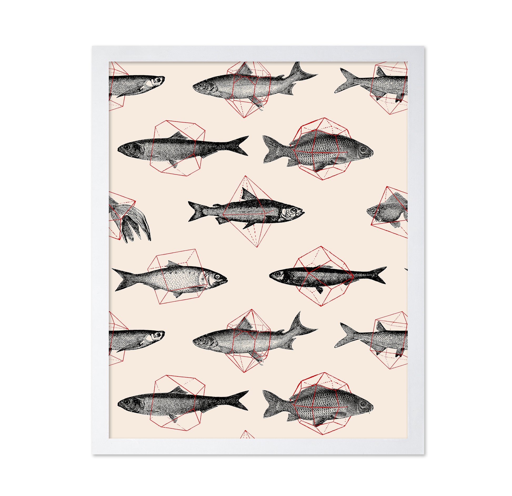 Fishes in Geometrics
