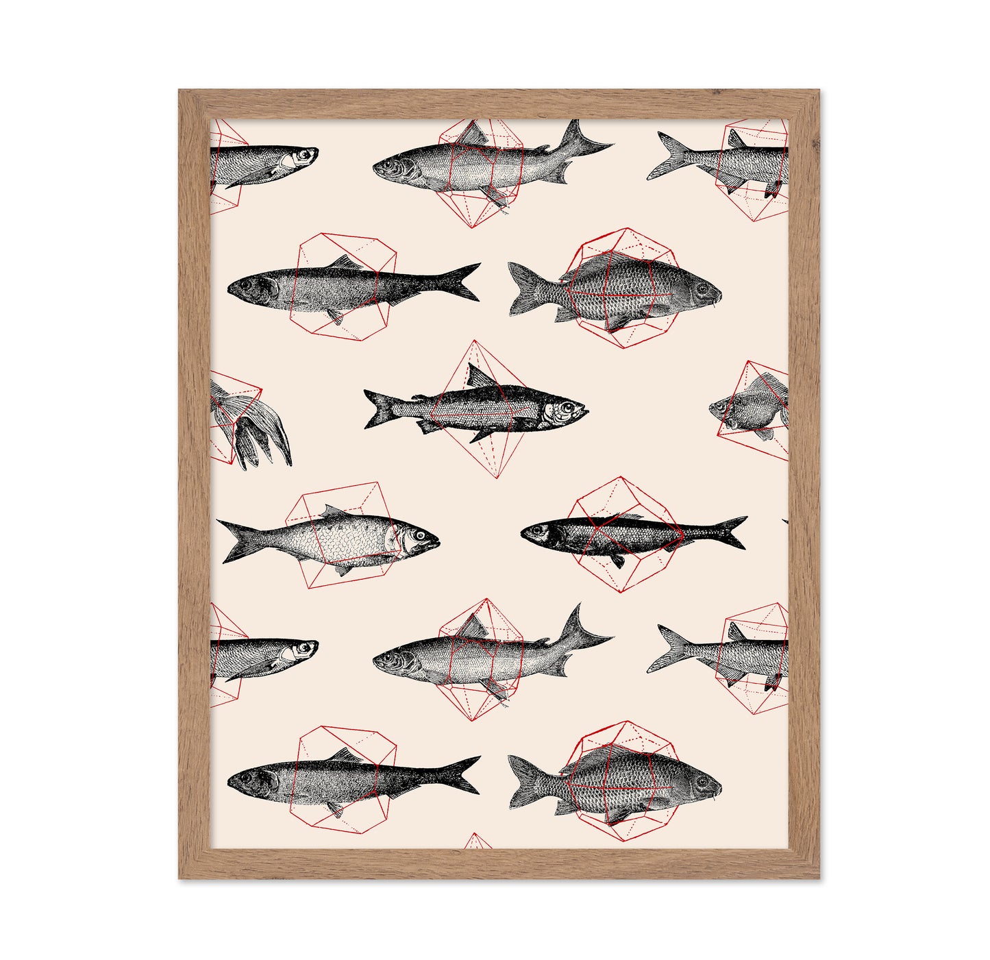Fishes in Geometrics