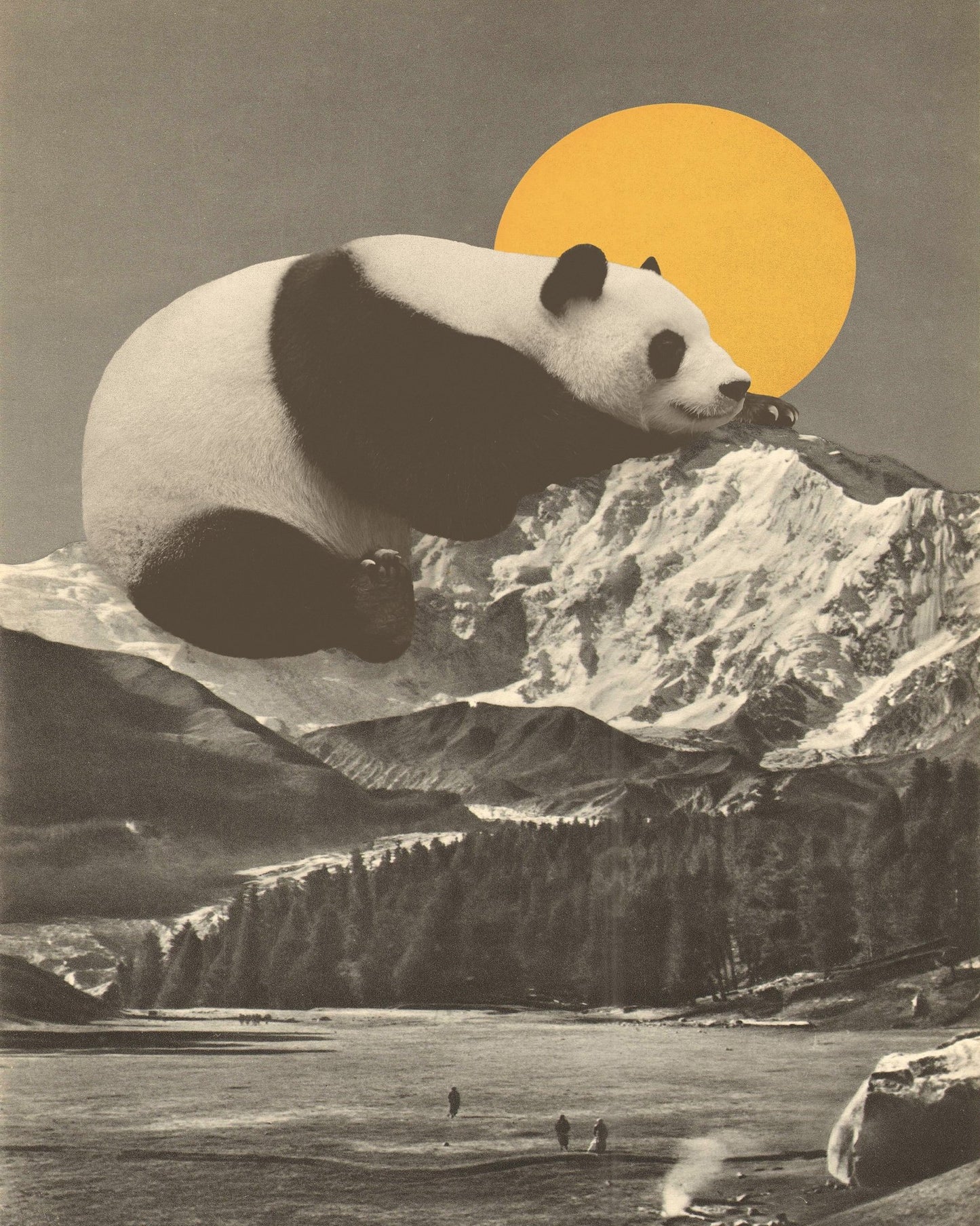 Giant Panda Nap