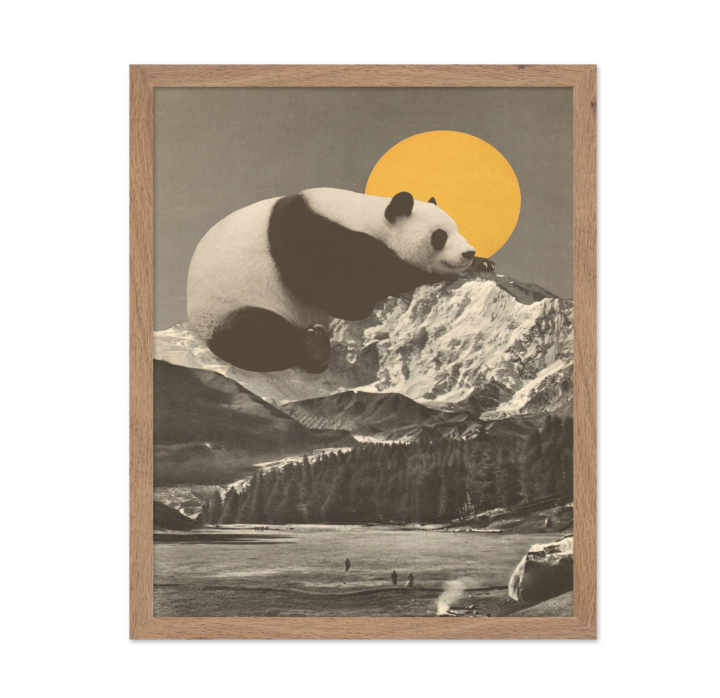 Giant Panda Nap