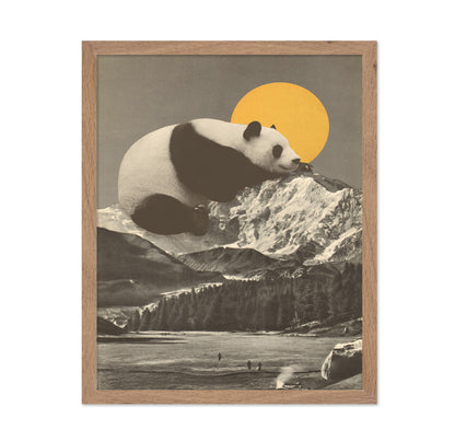 Giant Panda Nap