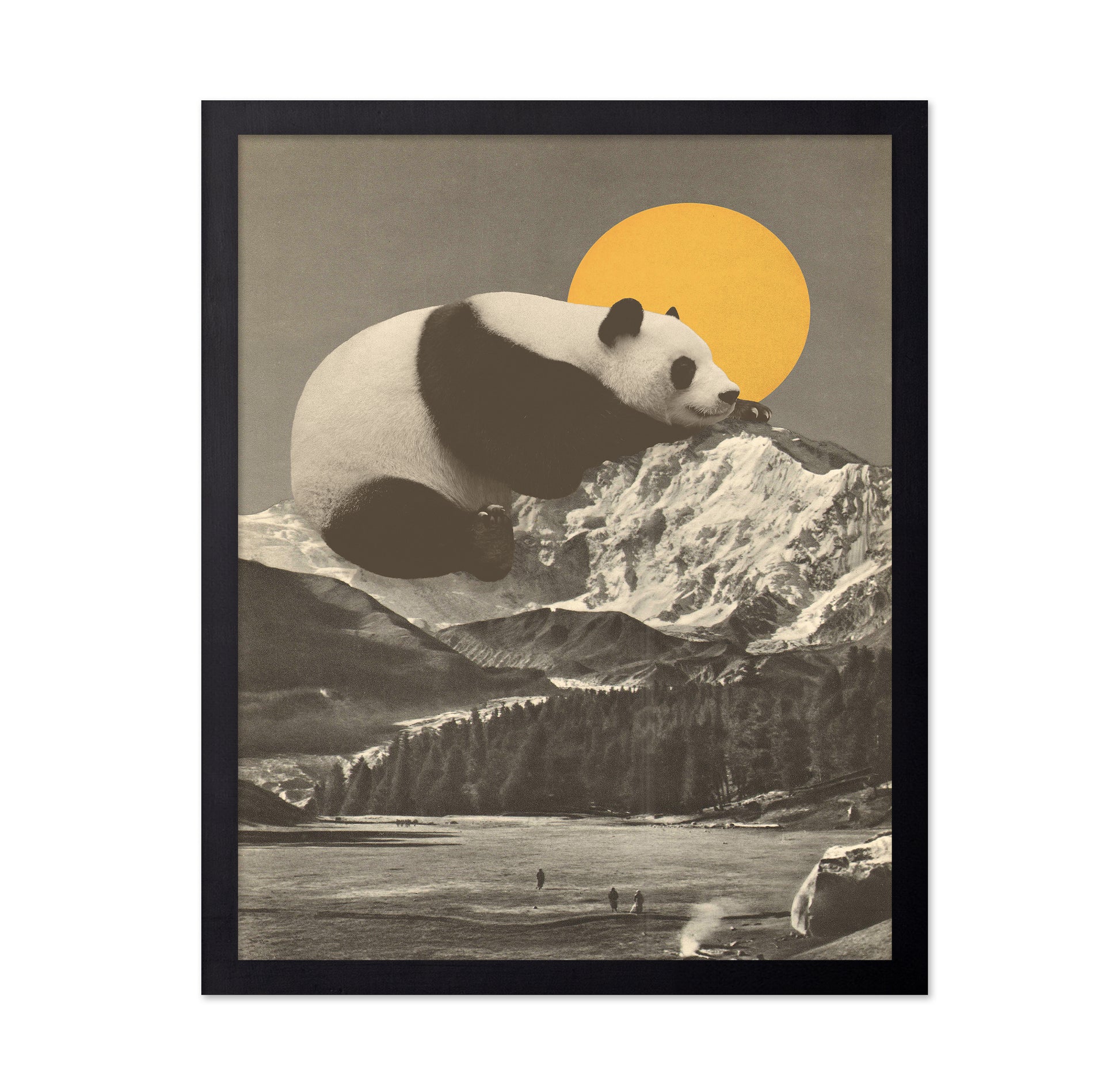 Giant Panda Nap