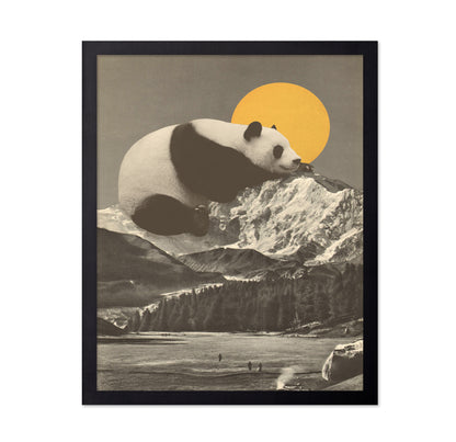 Giant Panda Nap