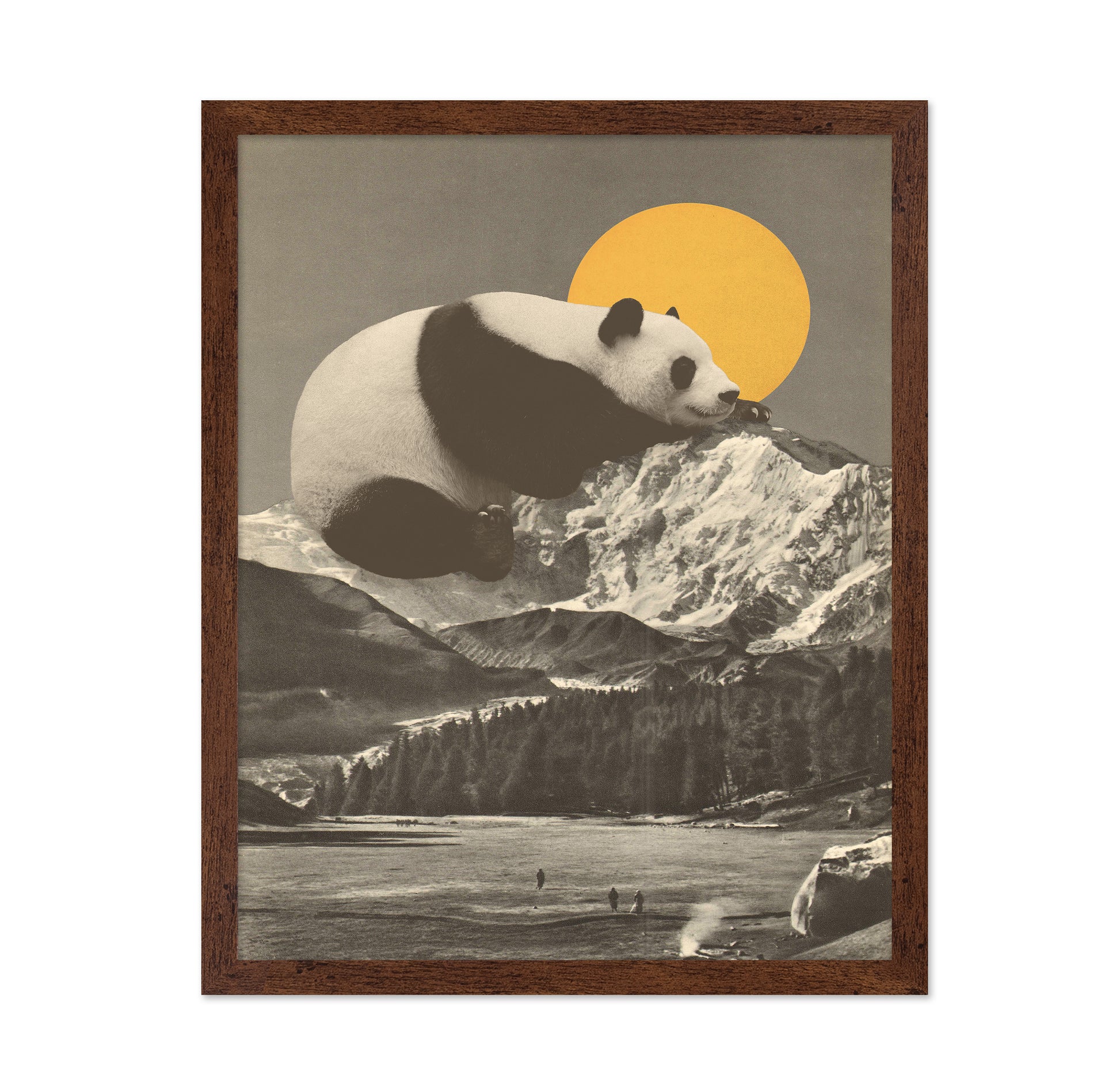Giant Panda Nap