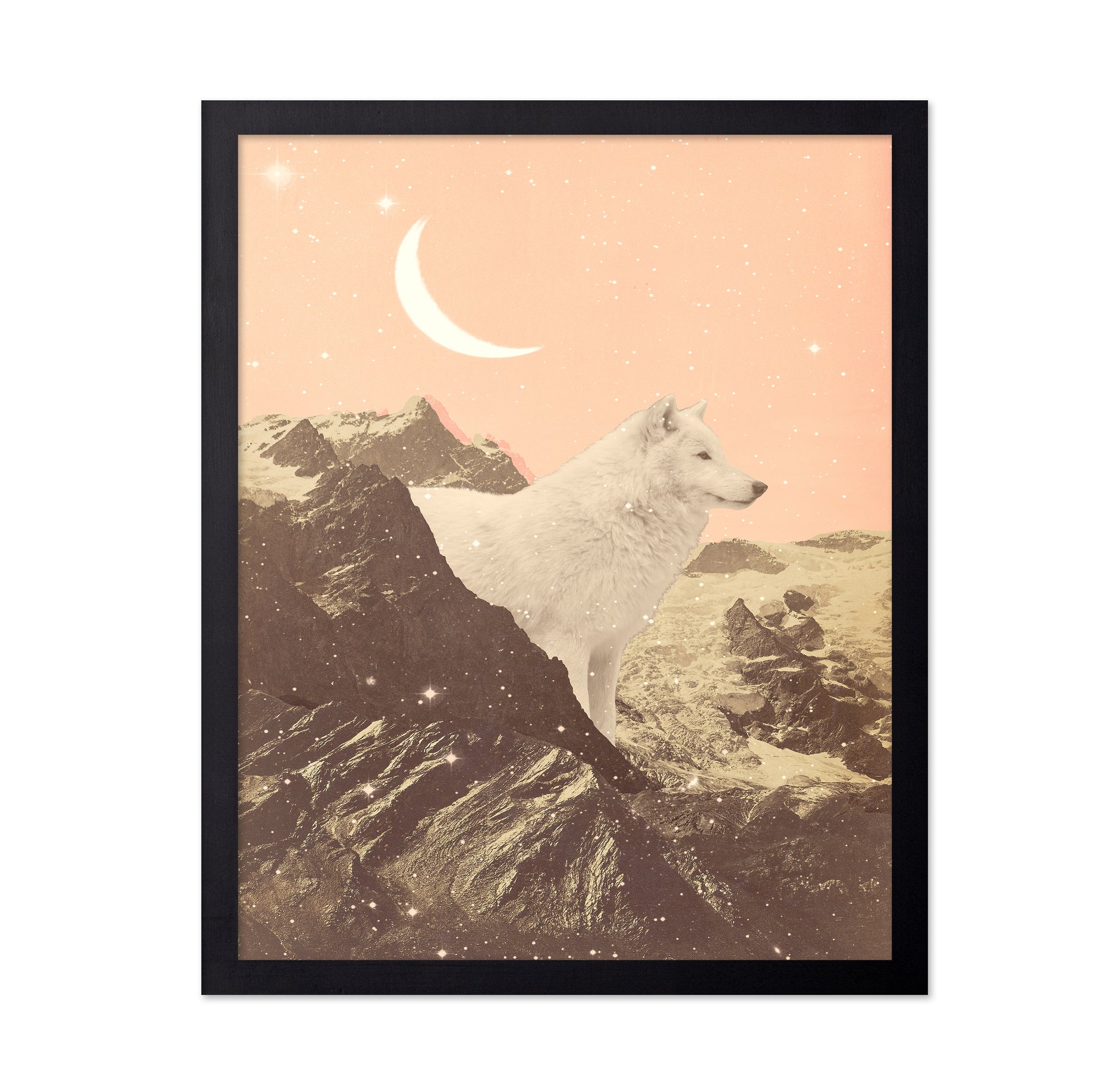 Giant White Wolf In Mountains