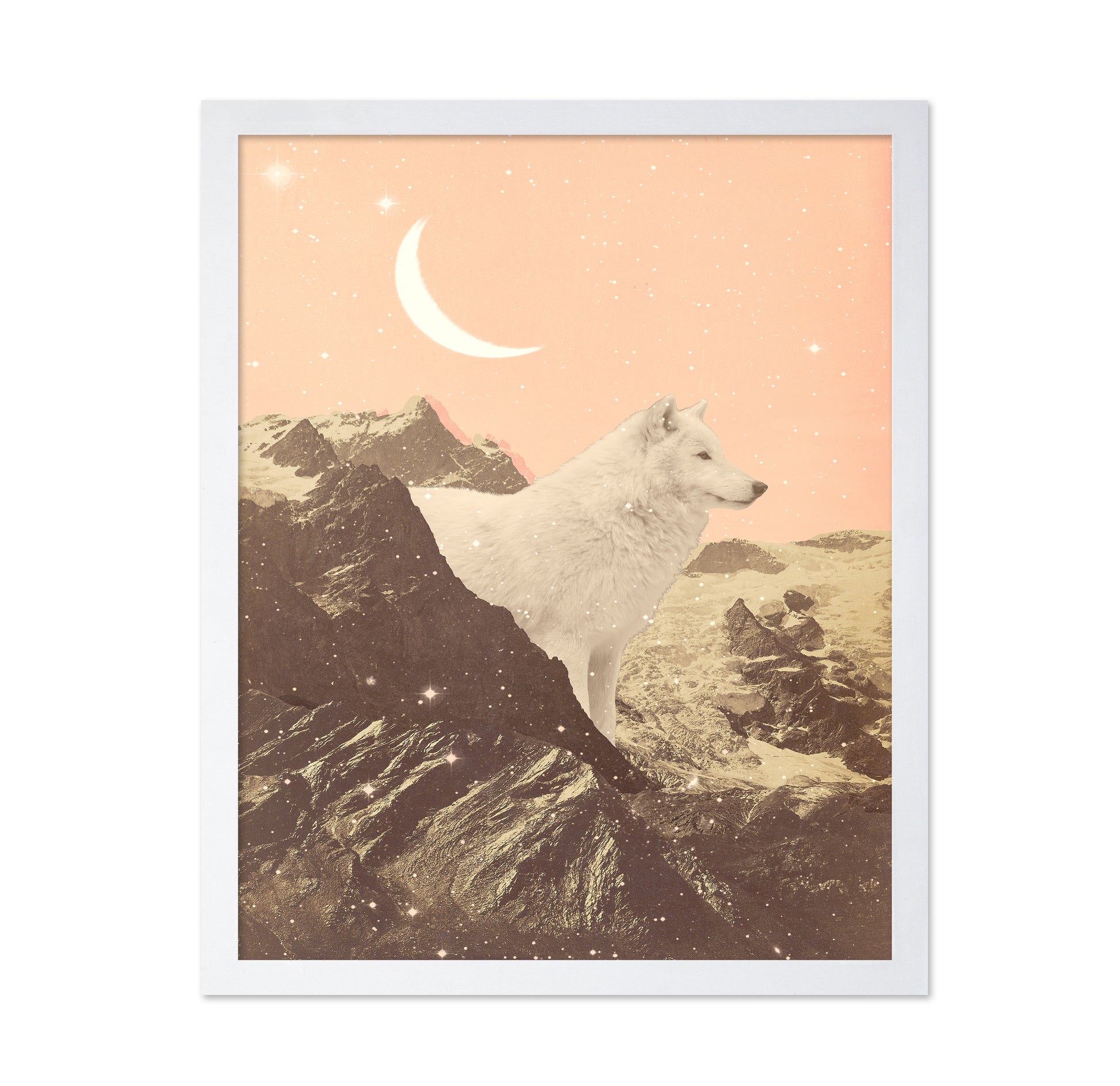 Giant White Wolf In Mountains