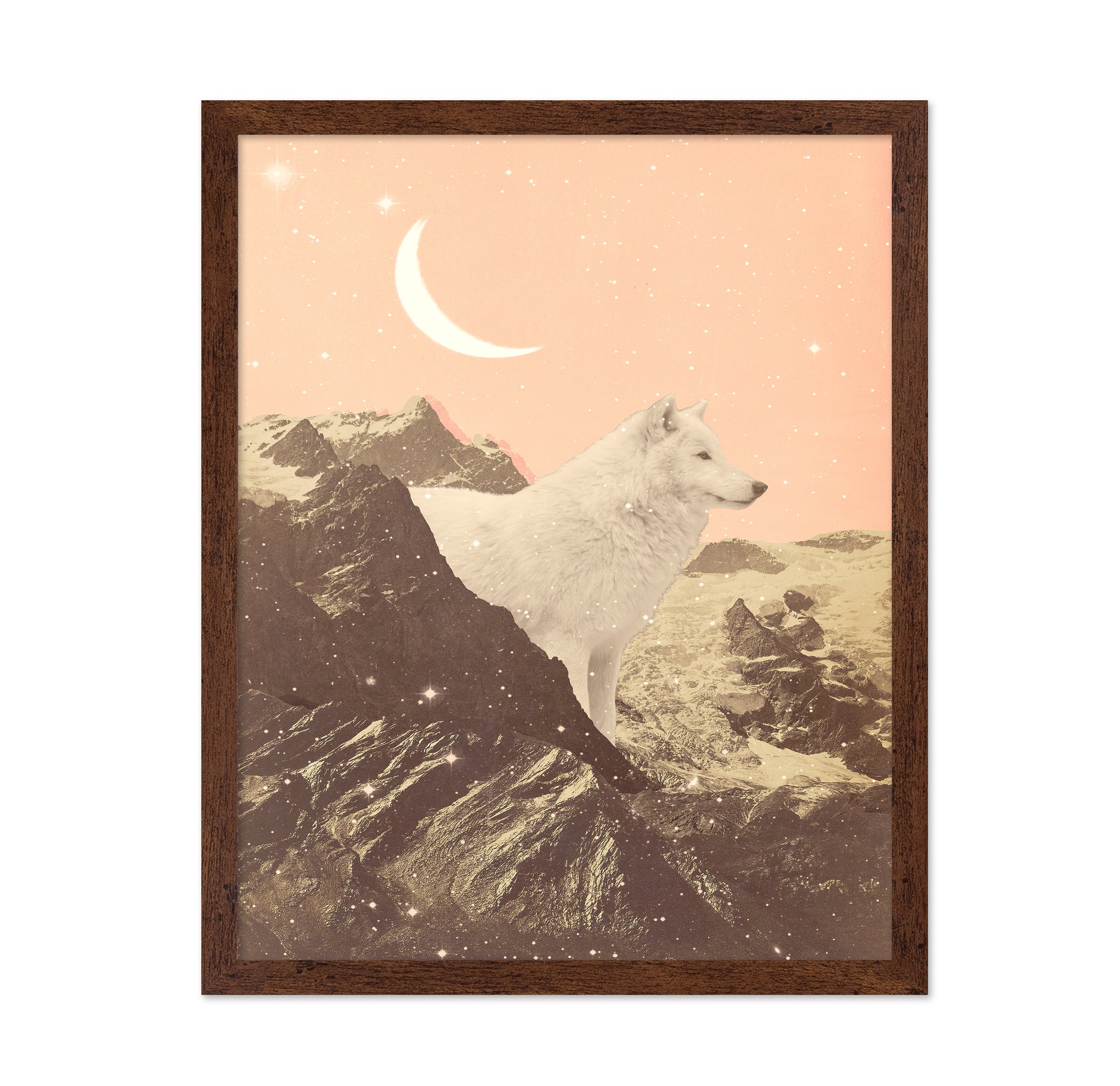 Giant White Wolf In Mountains