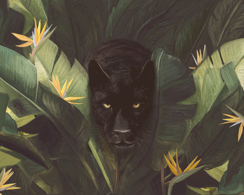 Hello Panther