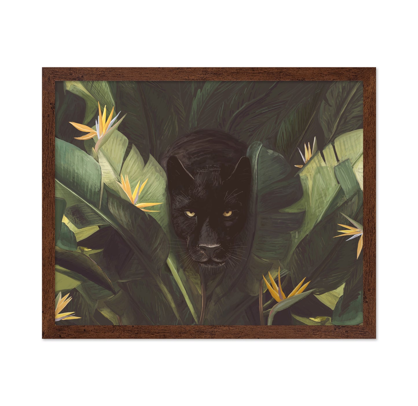 Hello Panther