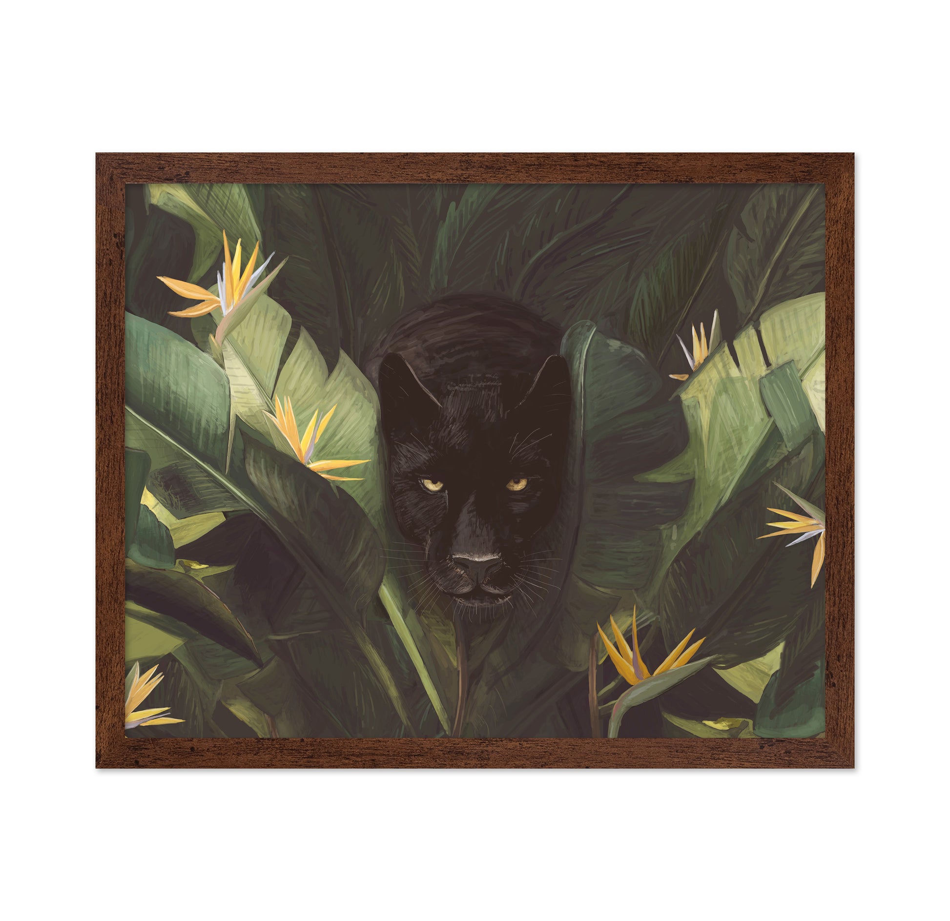 Hello Panther
