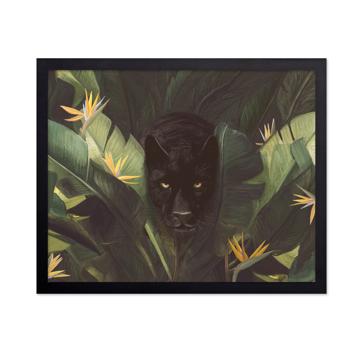Hello Panther