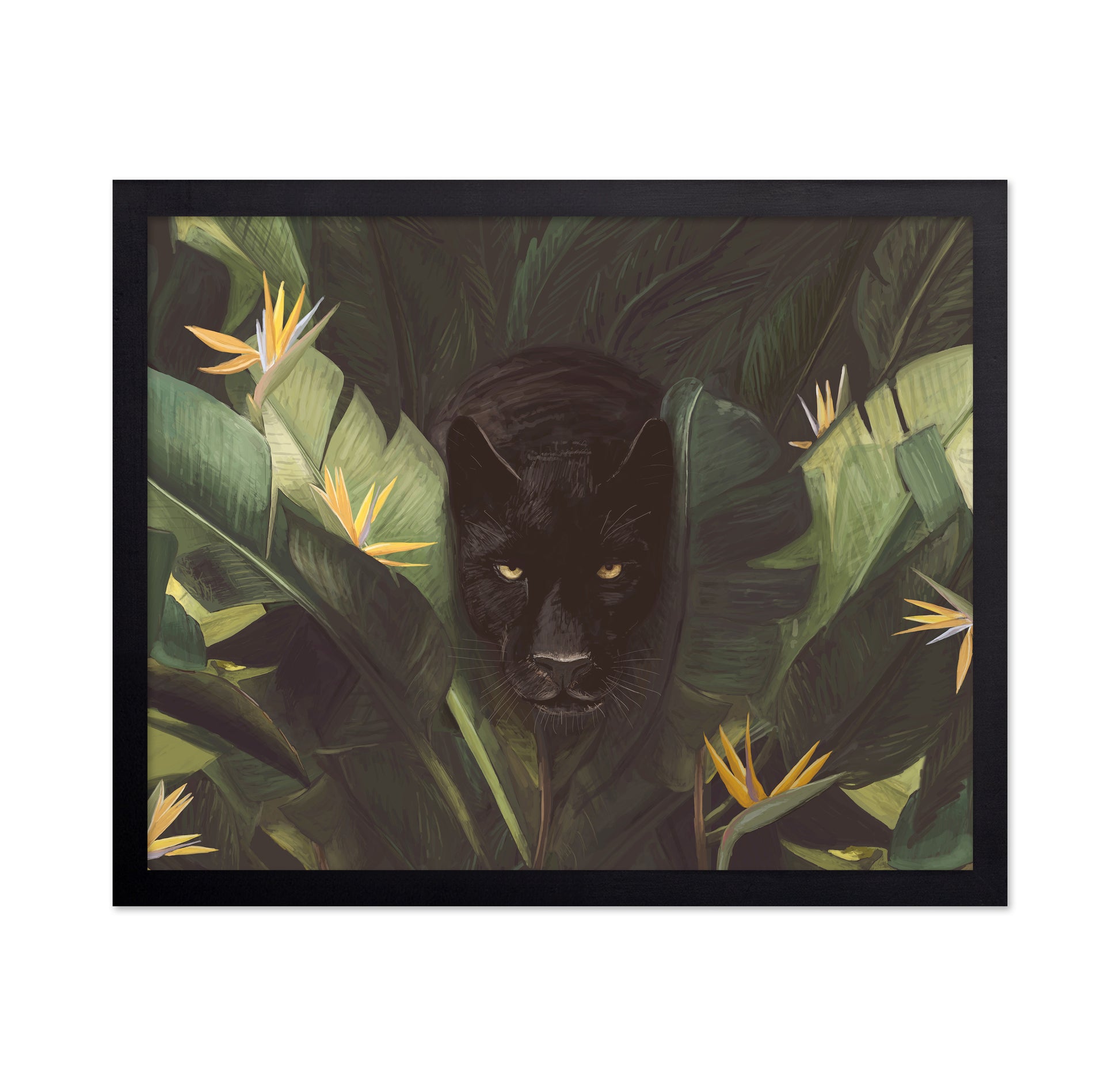 Hello Panther
