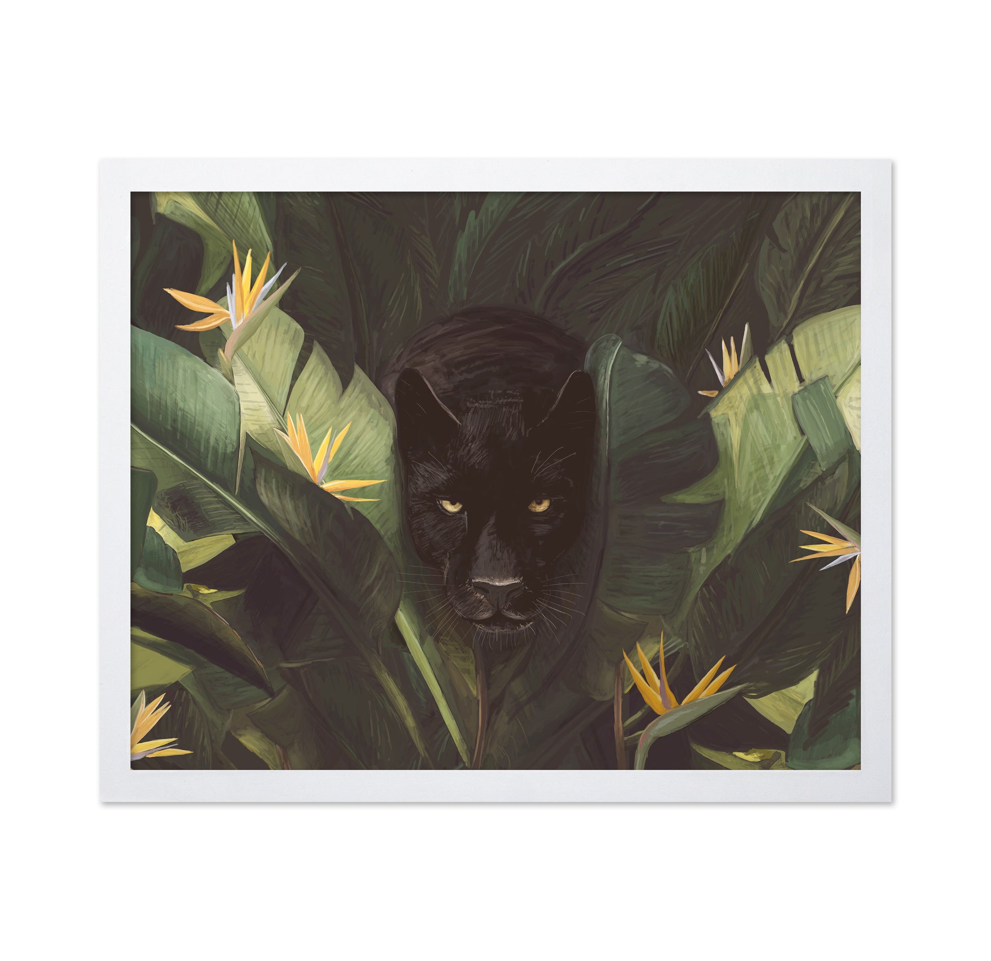 Hello Panther