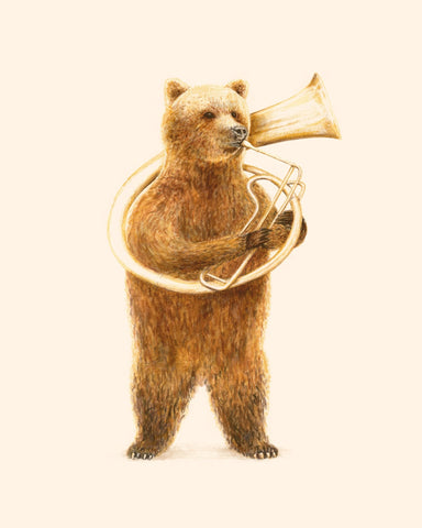 The Bear and His Helicon