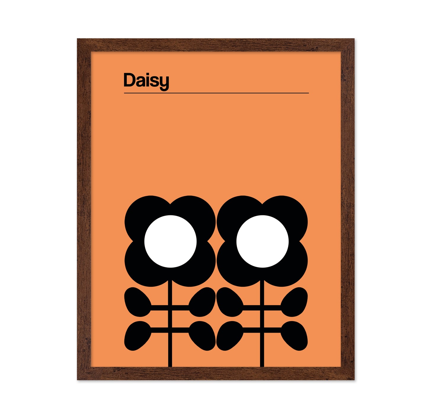 Daisy Mellow Yellow