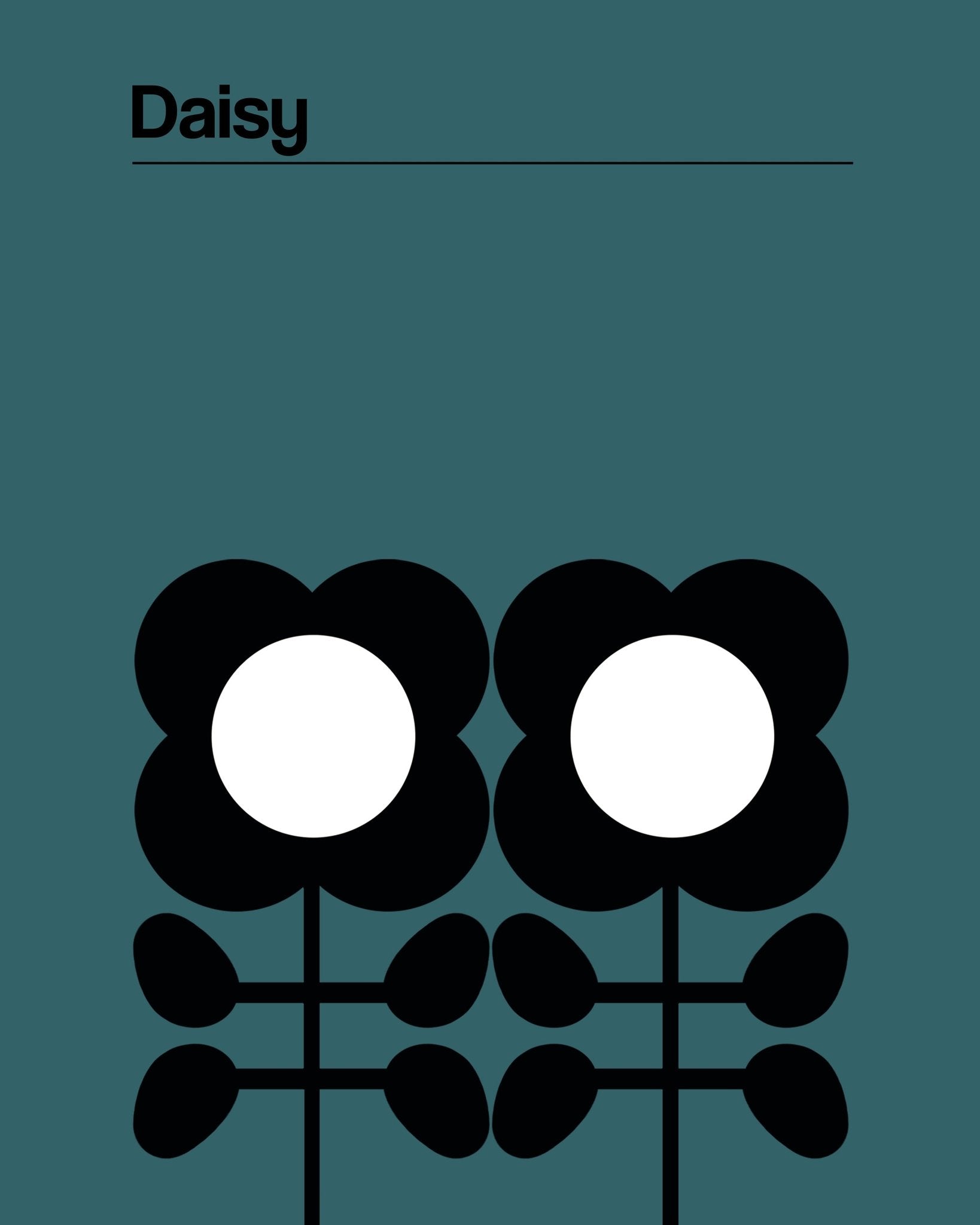 Daisy Teal