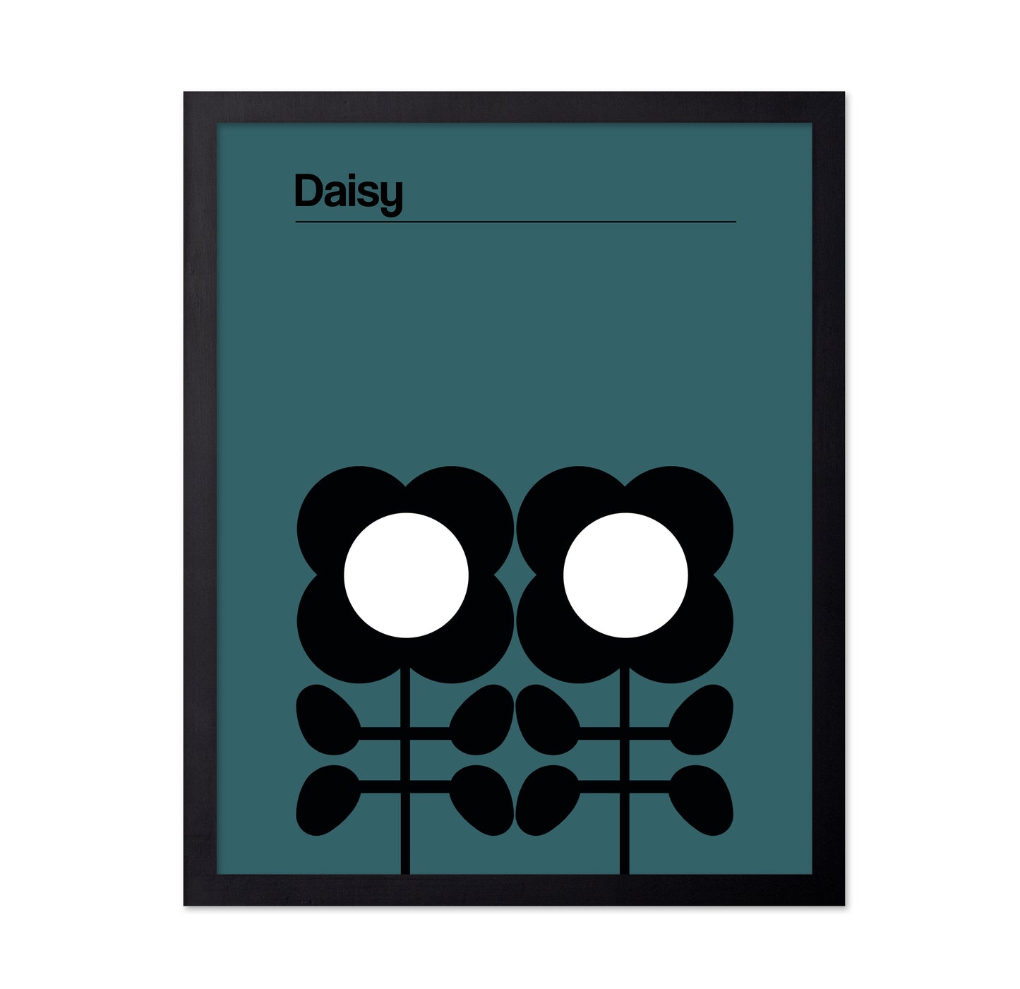 Daisy Teal