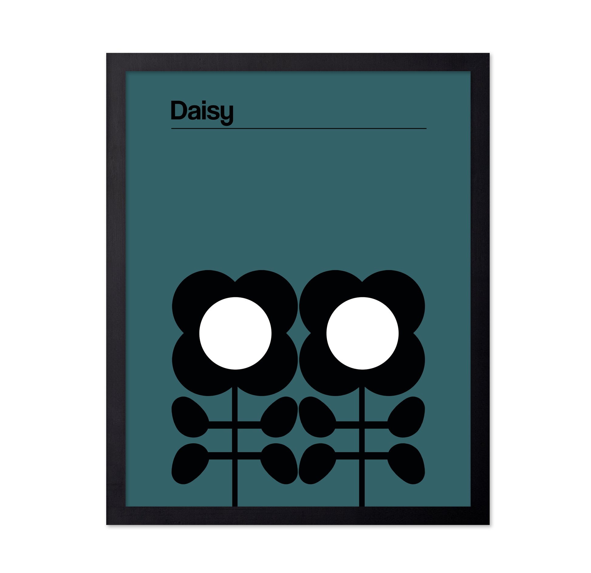 Daisy Teal