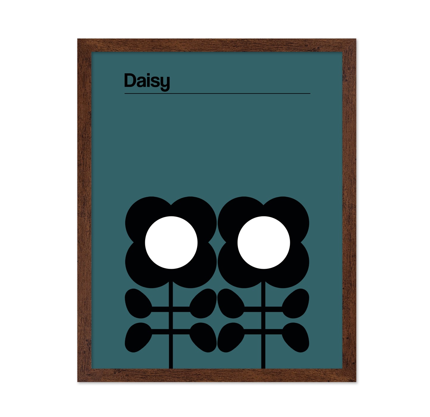 Daisy Teal