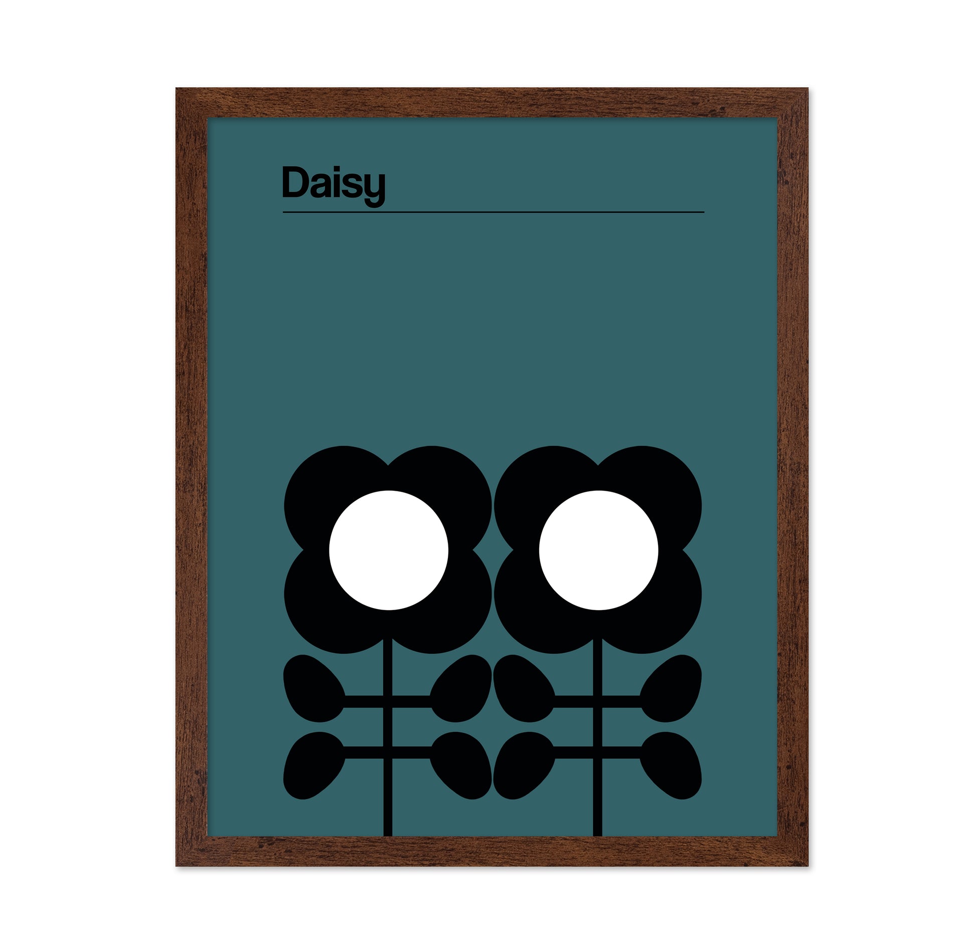 Daisy Teal