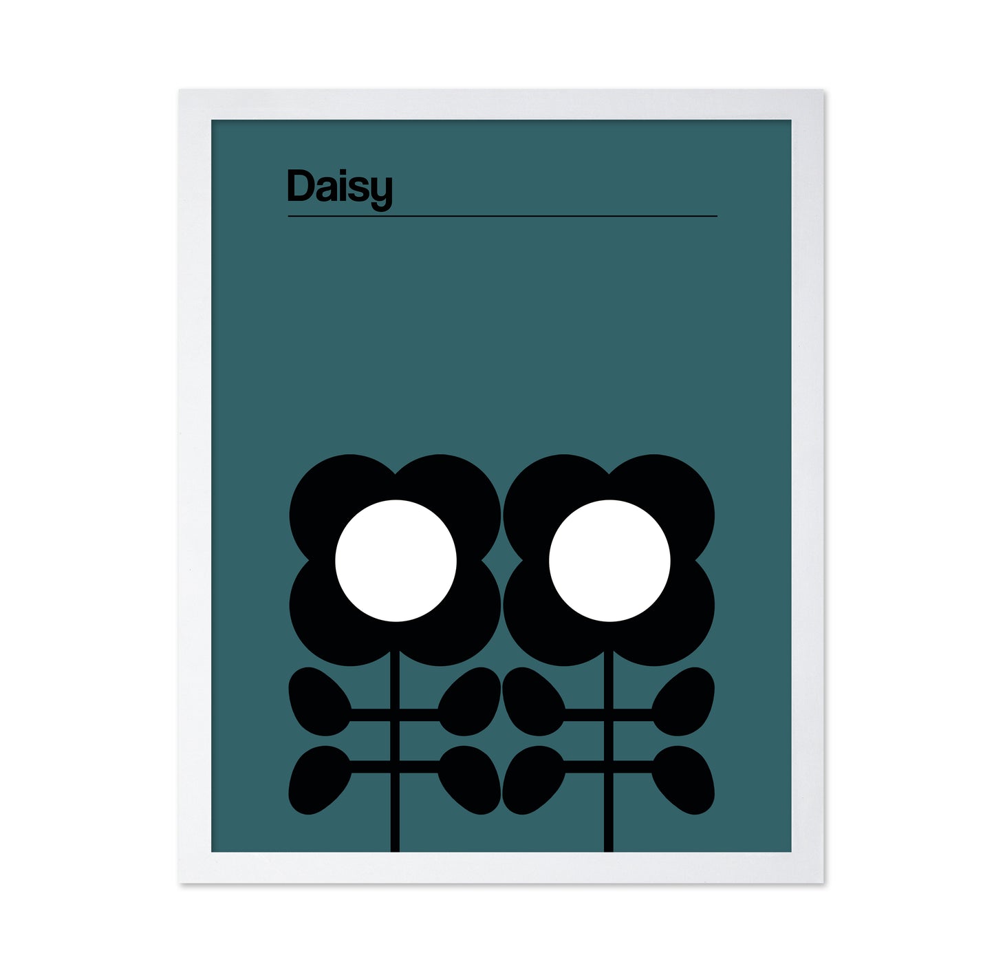 Daisy Teal