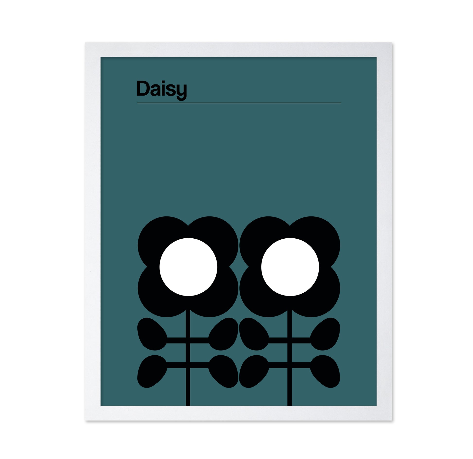Daisy Teal