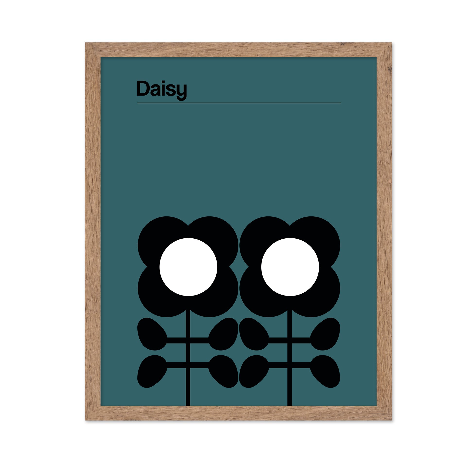 Daisy Teal