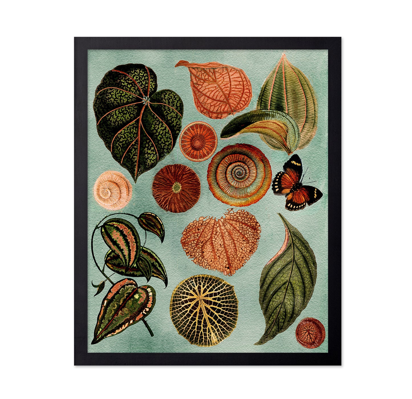Terracotta Blues Botanical