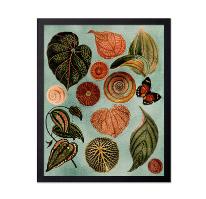 Terracotta Blues Botanical