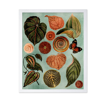 Terracotta Blues Botanical