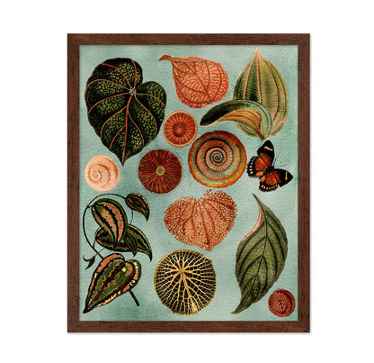 Terracotta Blues Botanical