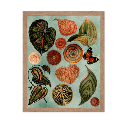 Terracotta Blues Botanical