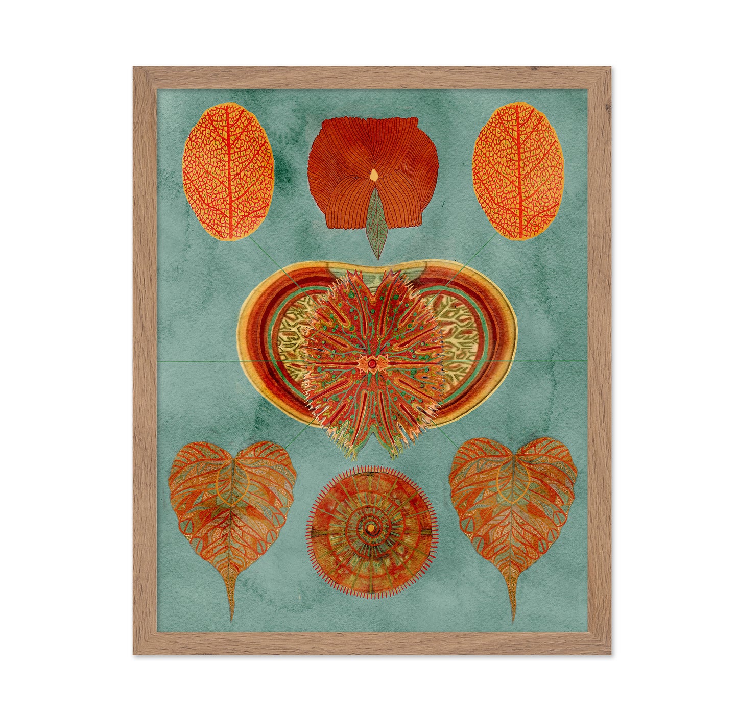 Abstract Symmetry