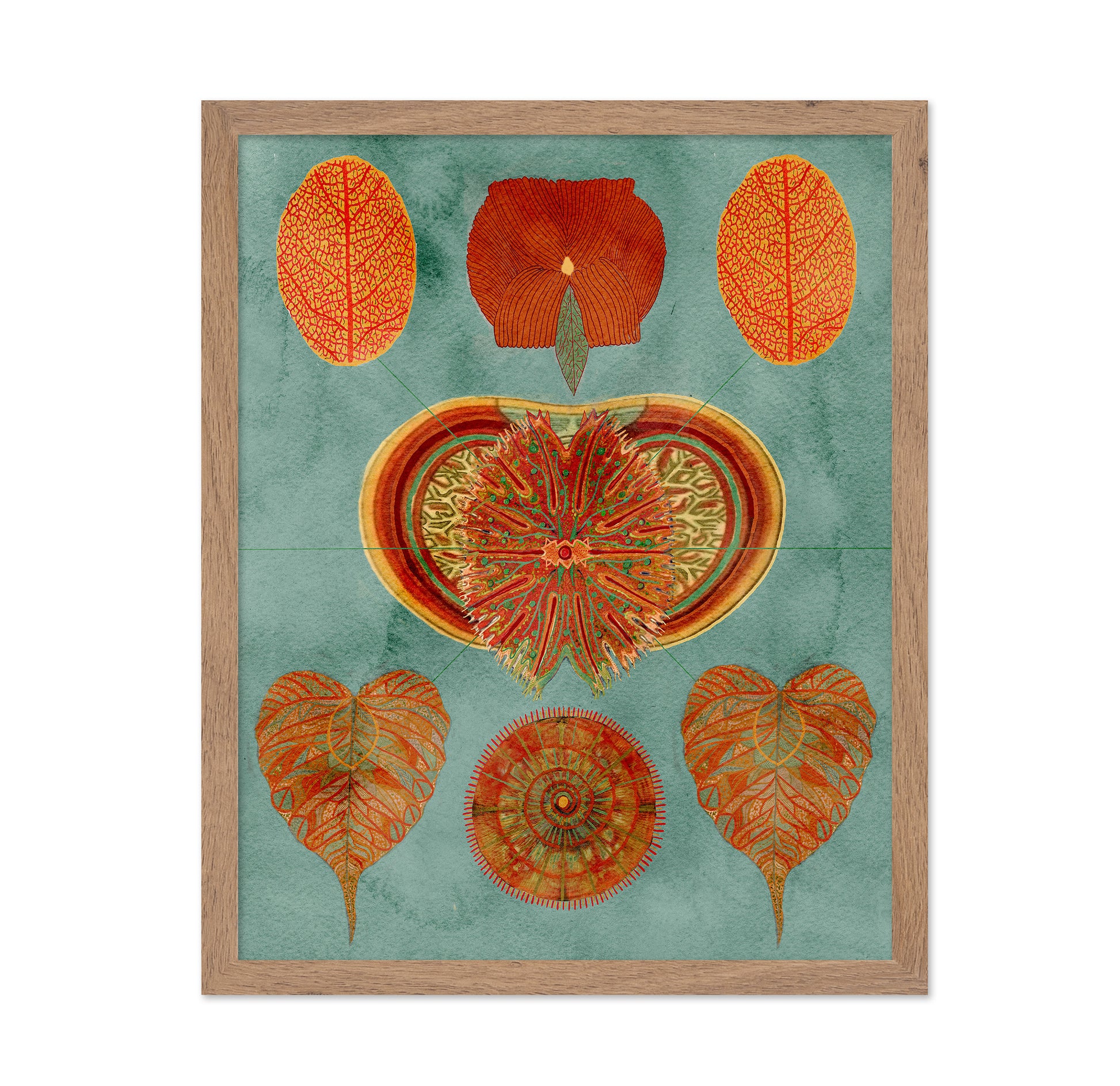 Abstract Symmetry