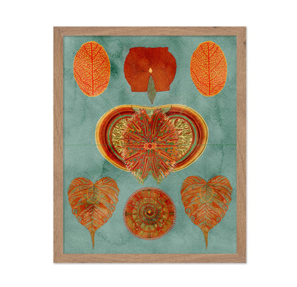 Abstract Symmetry