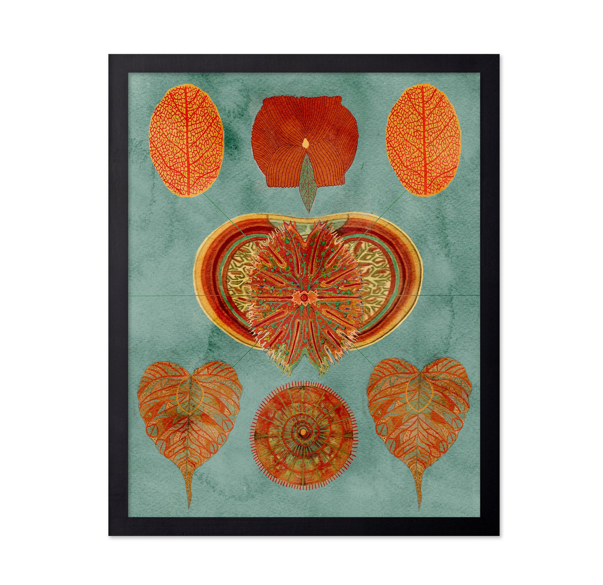 Abstract Symmetry
