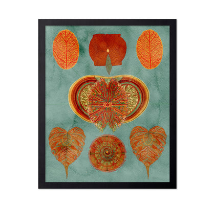 Abstract Symmetry