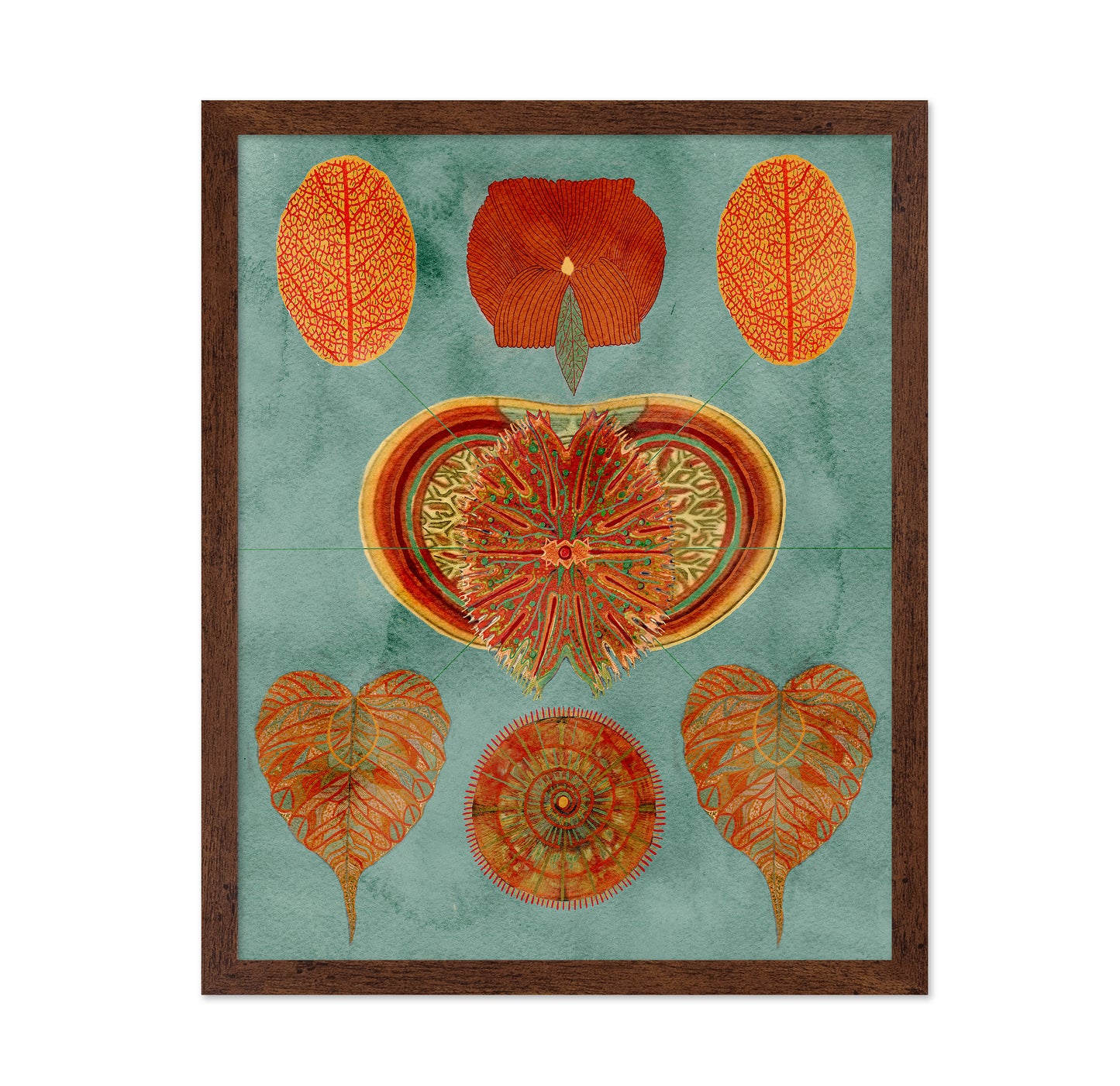 Abstract Symmetry