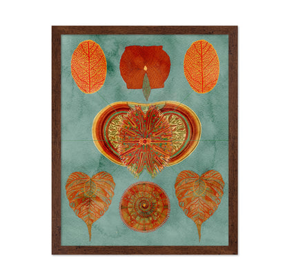 Abstract Symmetry