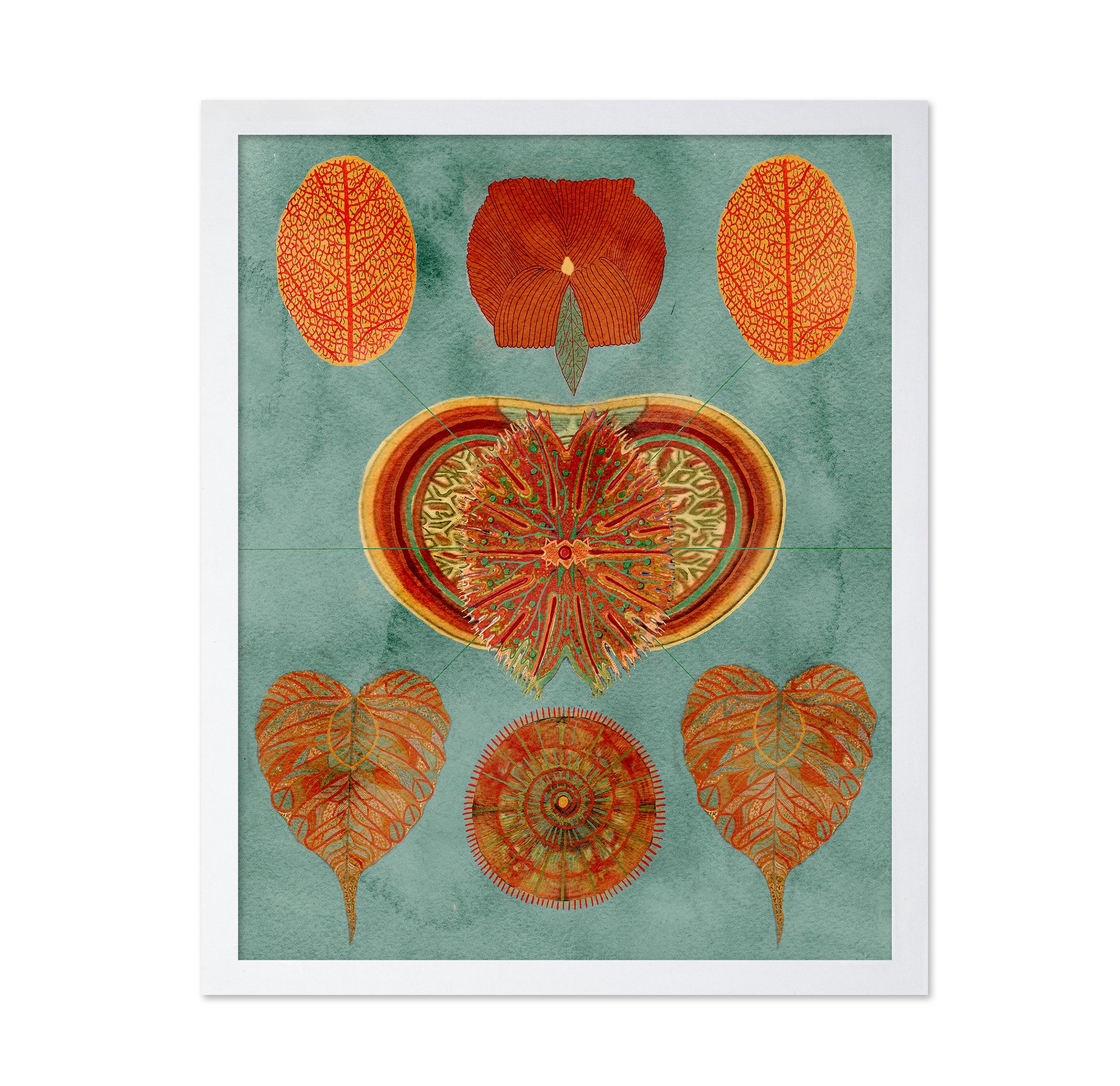 Abstract Symmetry