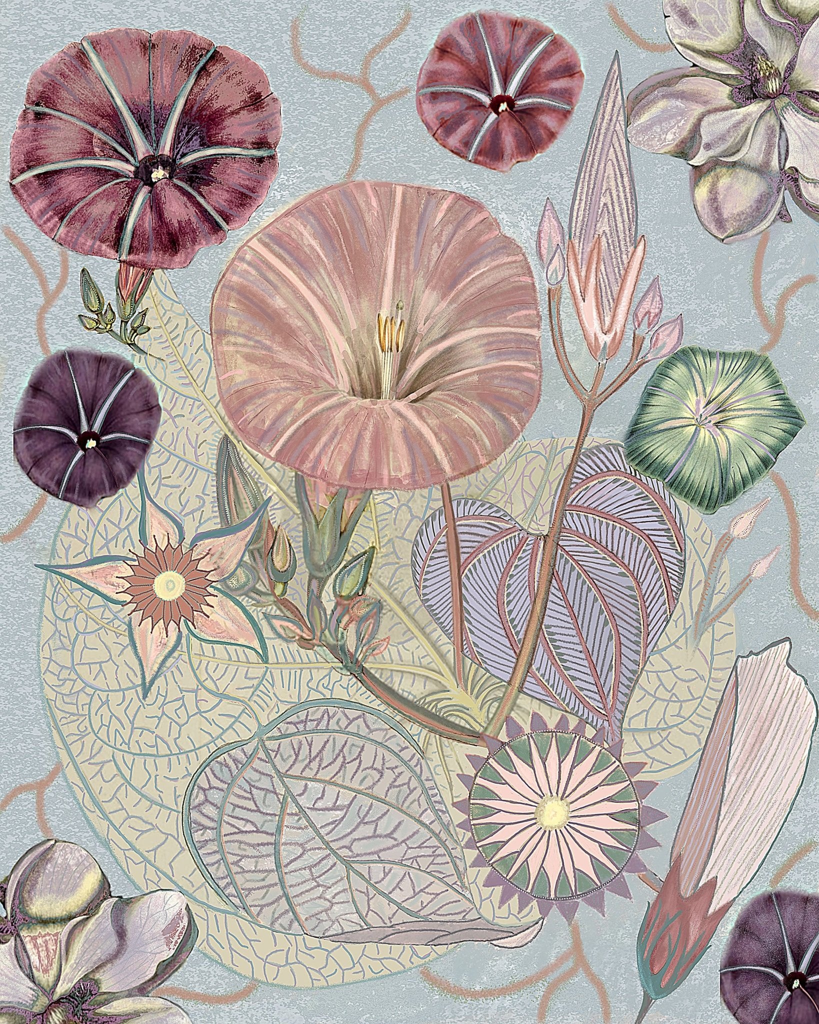Vintage Wildflowers