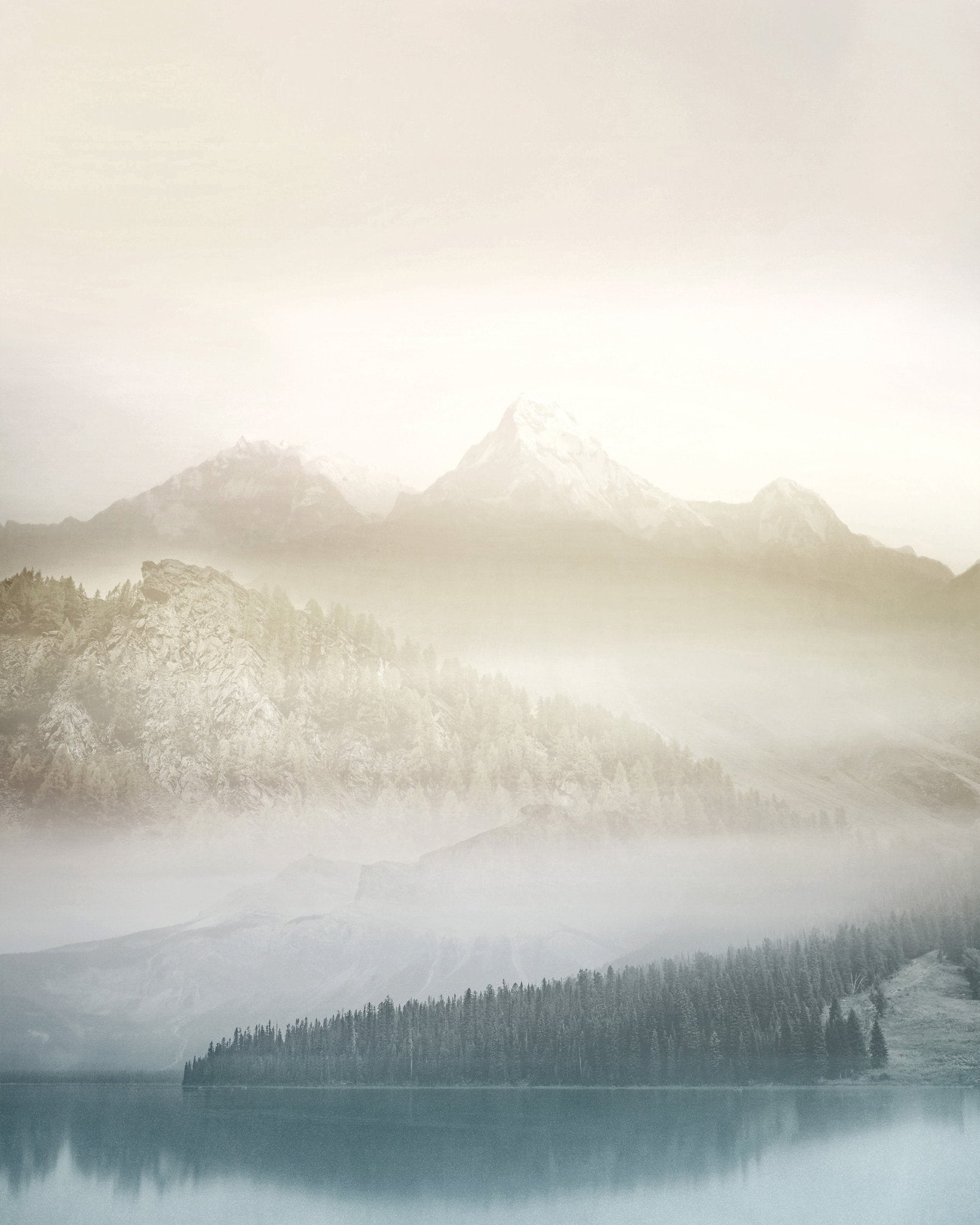 Vanilla Landscape