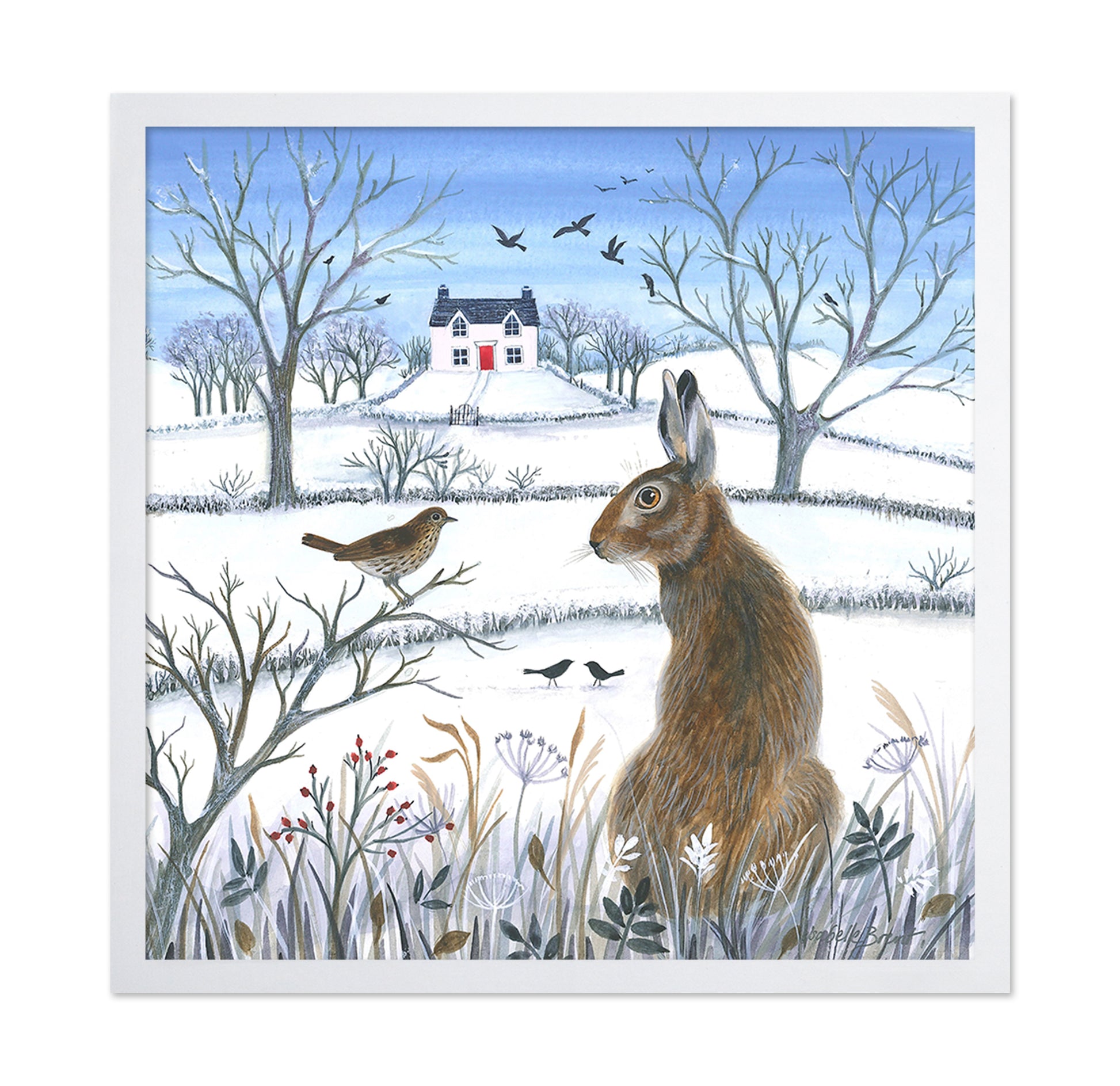 Coexistence Of Wildlife And Nature