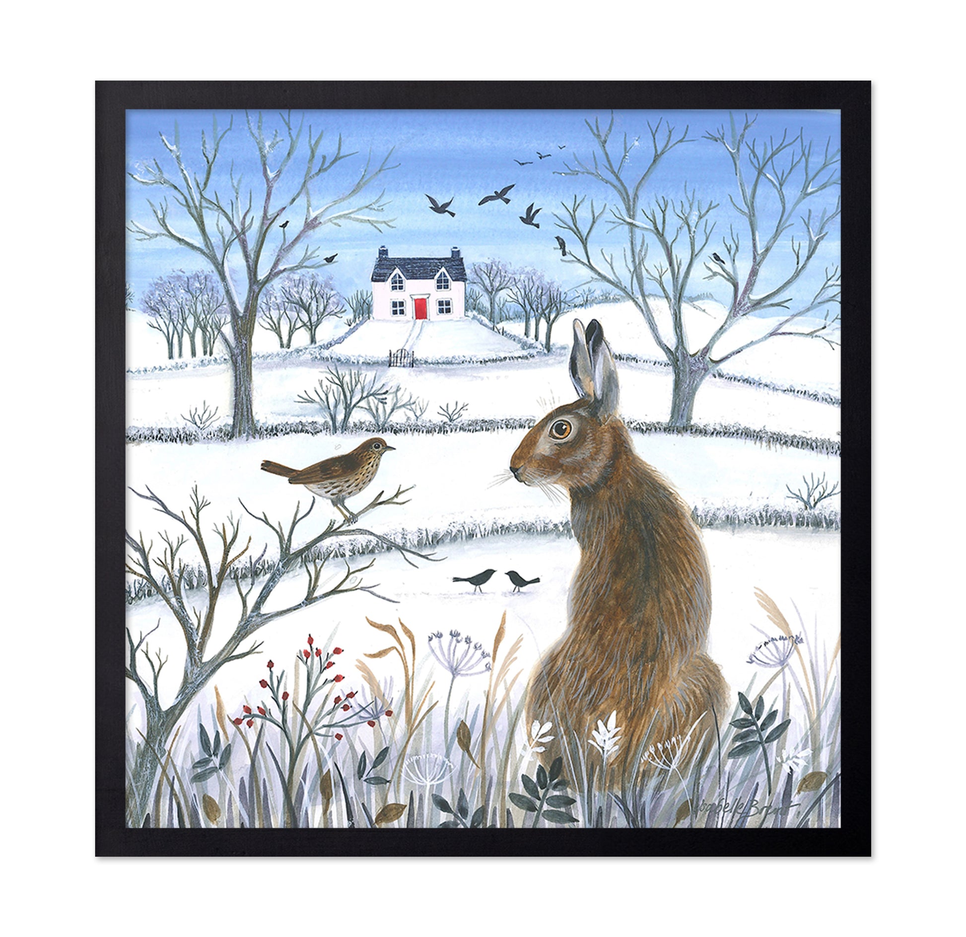 Coexistence Of Wildlife And Nature