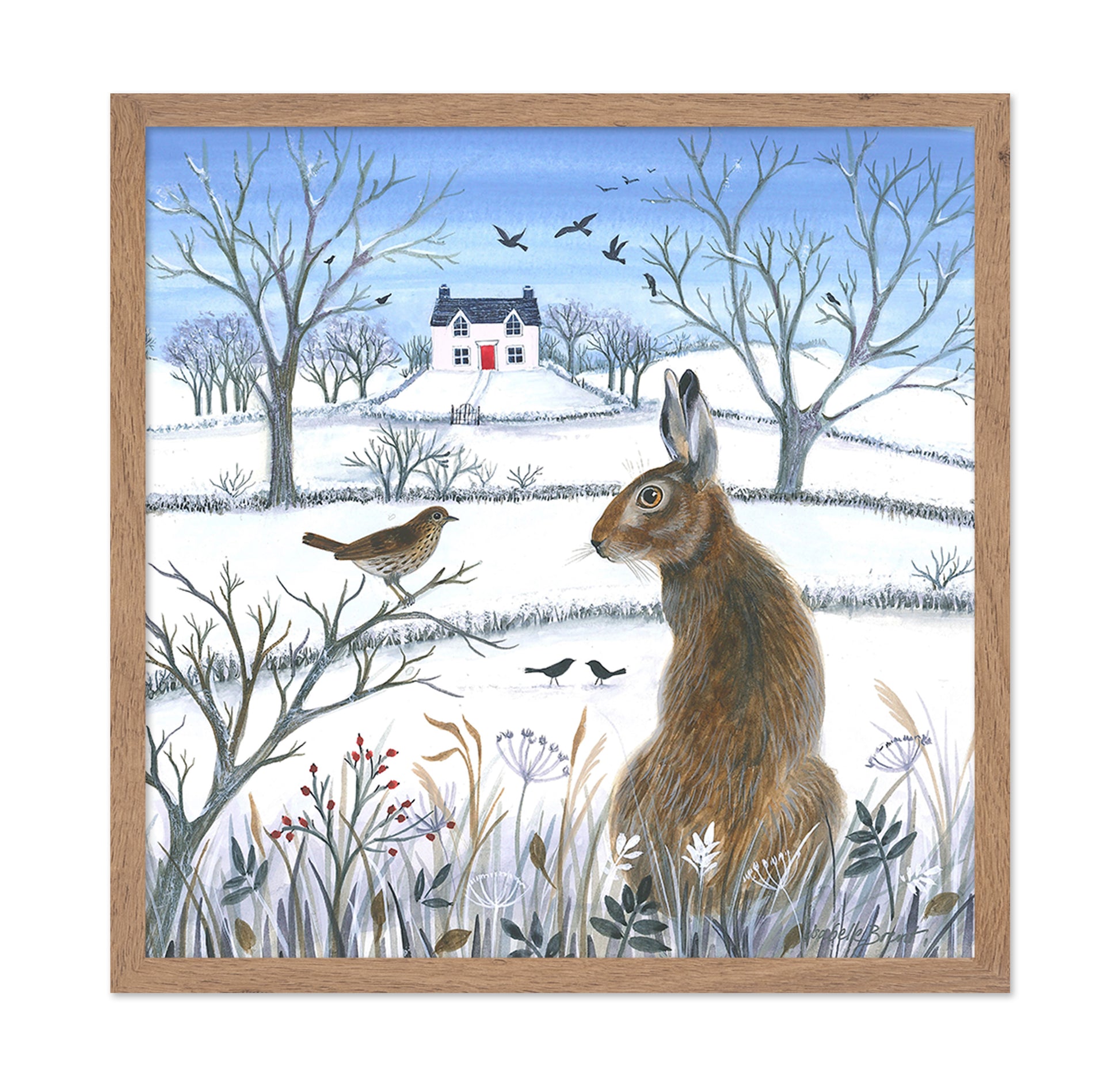 Coexistence Of Wildlife And Nature