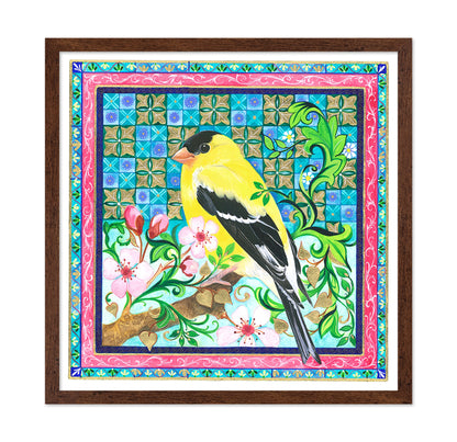 American Goldfinch
