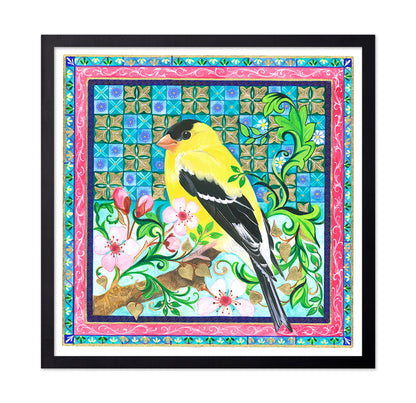 American Goldfinch
