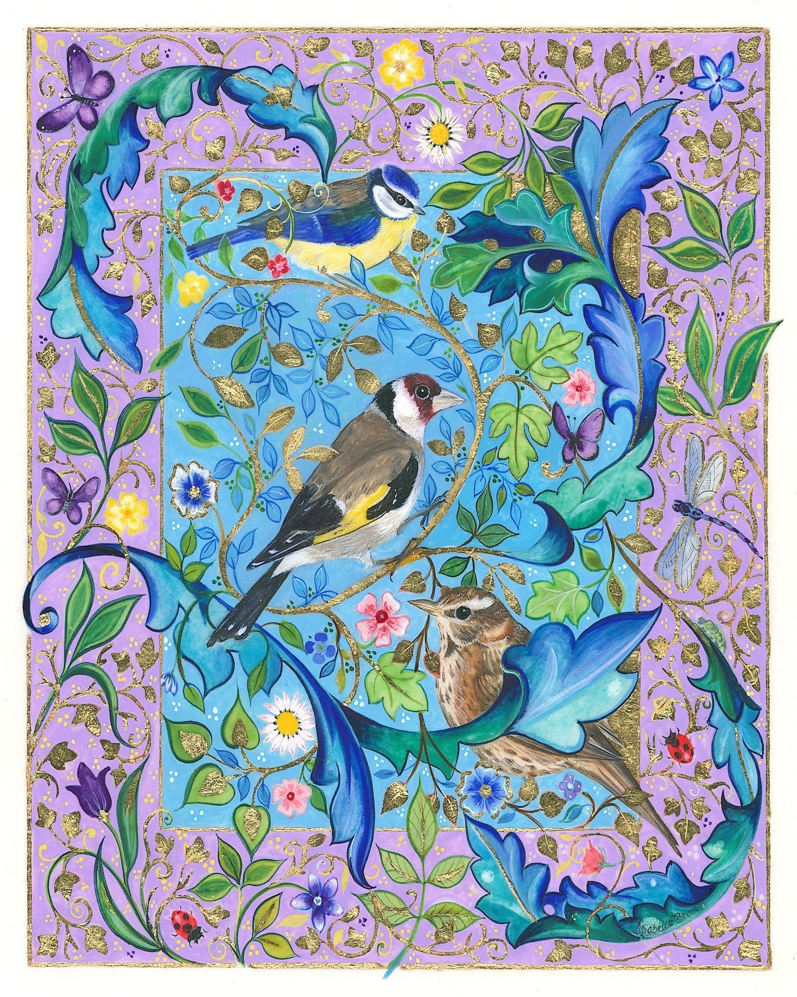 Garden Birds