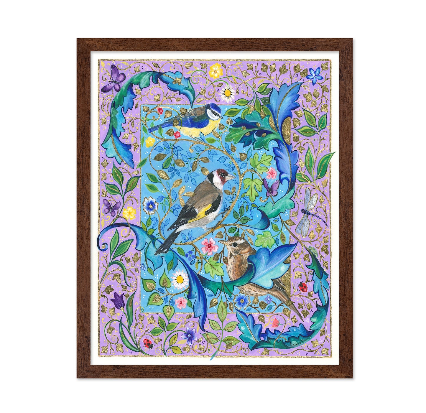 Garden Birds